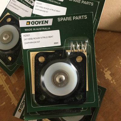 K2501 (M1183B) Goyen 펄스 밸브 대막 CA25 RCA25 밸브 모델 DD, FS, MM, T 시리즈
