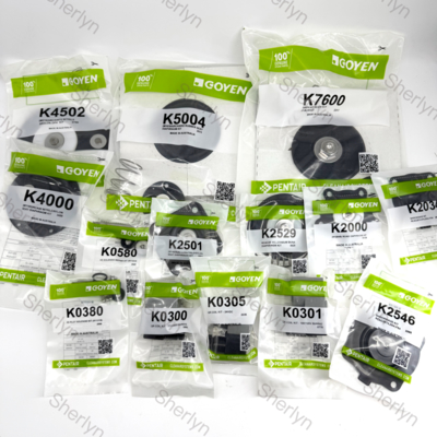 GOYEN K2529/2530 1-inch Diaphragm Repair Kit RCAC25T3/DD3/FS3 1 "Fluororubber/Nitrile Rubber