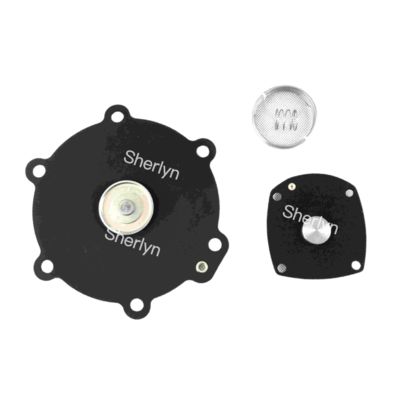 M50 다이어프램 수리 키트 터보 2" DN50 FP55 FM55 SQP50 SQM60