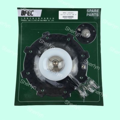 BFEC DMF-Z-76S DMF-Y-76S 3'' 인치 오른쪽 각도 펄스 제트 밸브 고무 대막
