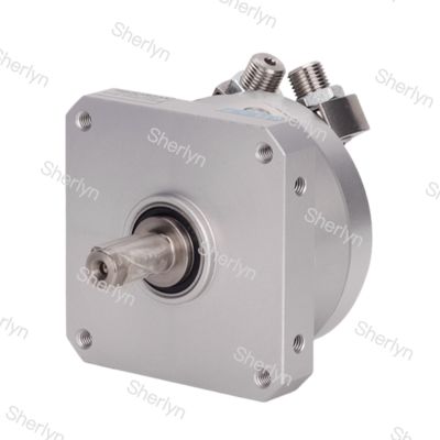 Festo Rotary Swing Cylinder DSM-12-270-P-FW-A-B 547571