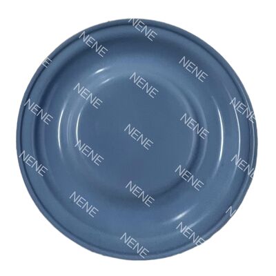 GMBM 174-4 SERA Metering Pump Diaphragm Diameter 176mm CFW Diaphragm Rubber And PTFE Composite Diaphragm