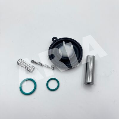 1256275 NORGREN BUSCHJOST 솔레노이드 밸브 다이어프램 수리 키트 8240300 DN20