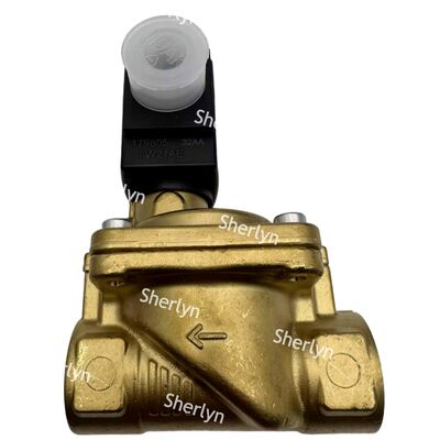 6281 버커트 전자 자기 밸브 00221931 G3/4 2/2 정상적으로 열린 AC24V