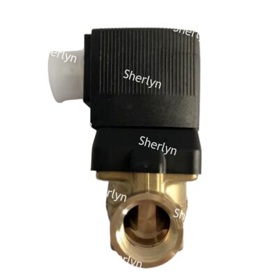 구리 버커트 소레노이드 밸브 00221934 G3/4 DC24V