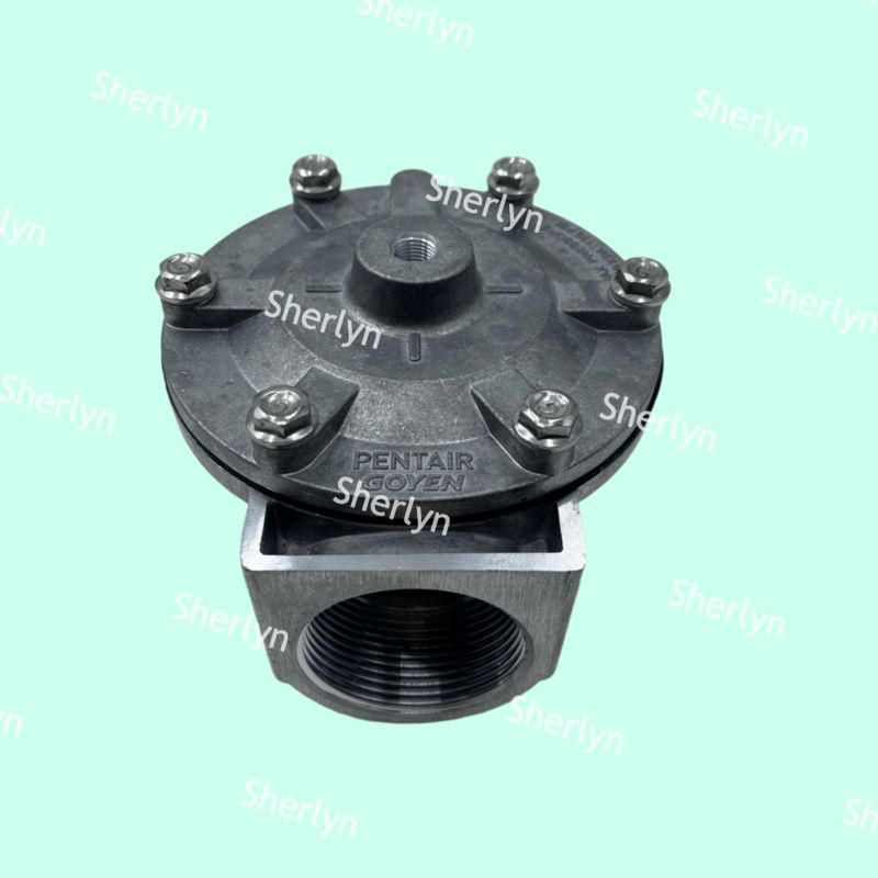 GOYEN 펄스 밸브 RCA35T RCA32T 1.5인치 전자 펄스 밸브 스프레이 밸브 공압 밸브